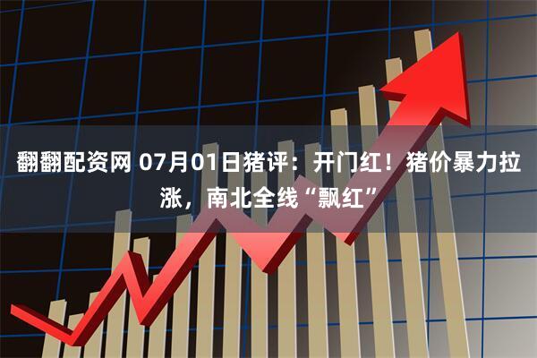 翻翻配资网 07月01日猪评：开门红！猪价暴力拉涨，南北全线“飘红”